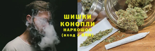 мдпв Кодинск