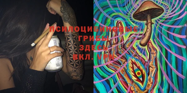 первитин Козельск
