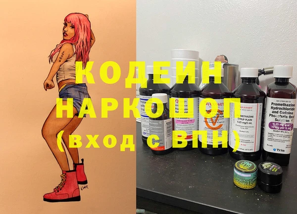 мдпв Кодинск