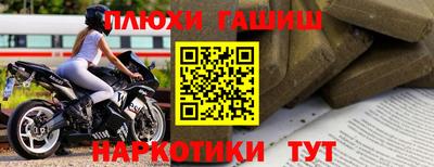 ешки Гай