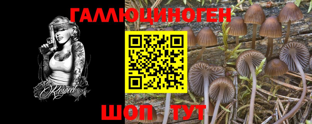 Псилоцибиновые грибы Magic Shrooms Жуковский