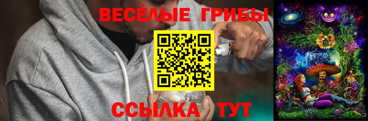Жуковский  Псилоцибиновые грибы Psilocybine cubensis  Вход с VPN  Псилоцибиновые грибы прущие грибы 