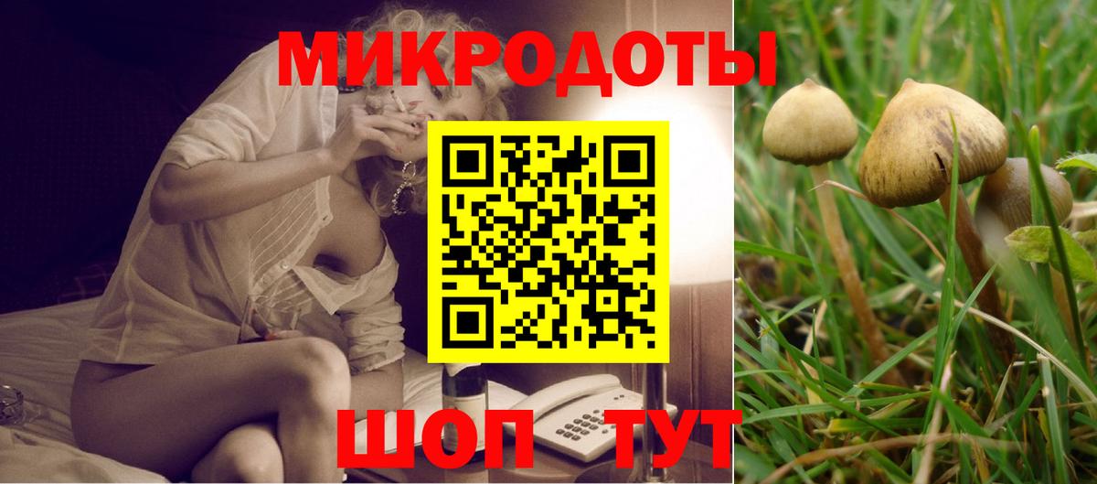 наркошоп  Жуковский  Галлюциногенные грибы Psilocybe 